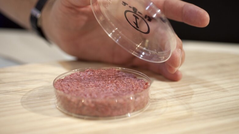 Ни рыба, ни мясо: когда искусственно выращенные продукты войдут в нашу жизнь