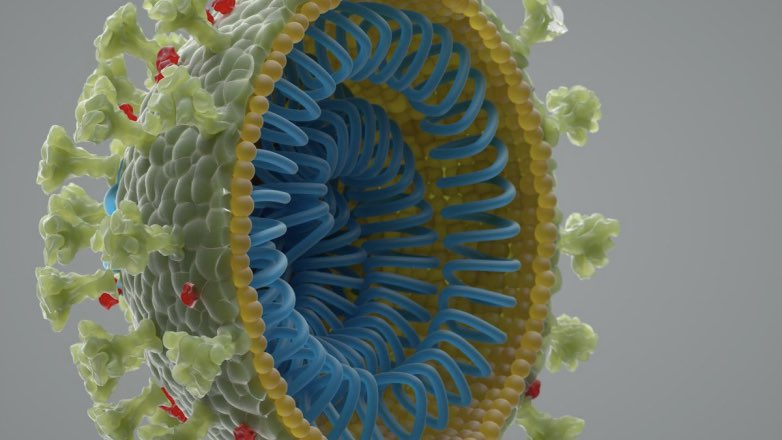 Новый тип коронавируса обнаружили еще в трех странах