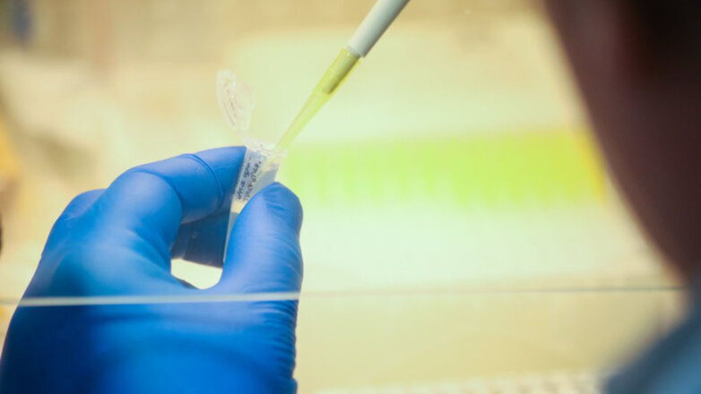 Врач назвала сроки ослабления коронавируса