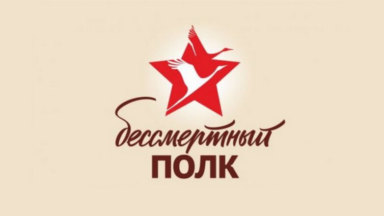 СК назвал подозреваемых в провокации в ходе «Бессмертного полка»