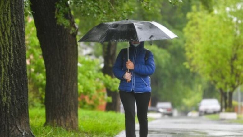 В Москве и Петербурге ожидается теплая погода с дождями и грозами
