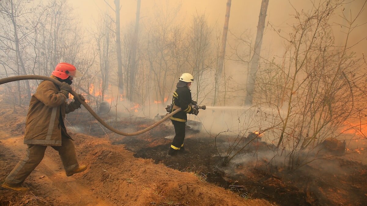 На Камчатке удалось потушить 35 тысяч гектаров лесных пожаров