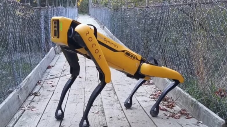 Робота-пса научили помогать врачам при работе с зараженными COVID-19