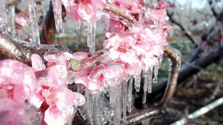 Москвичей предупредили о резком похолодании