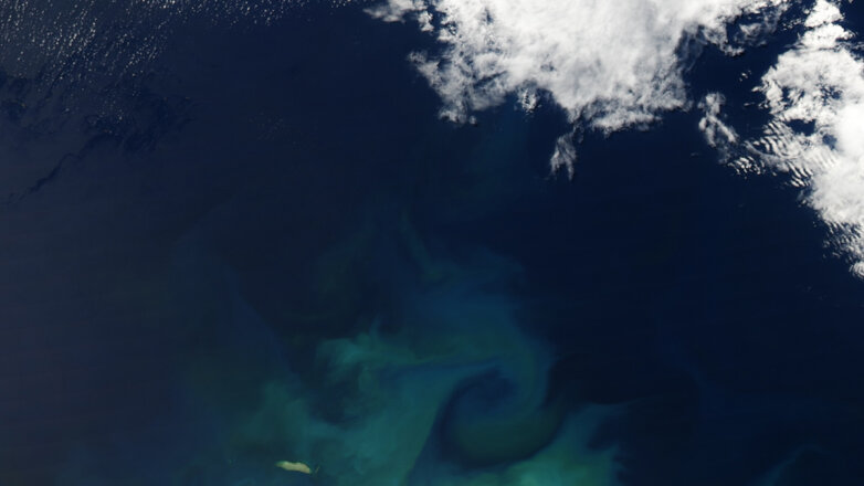 Путин жестко раскритиковал чиновников в Норильске из-за разлива дизеля