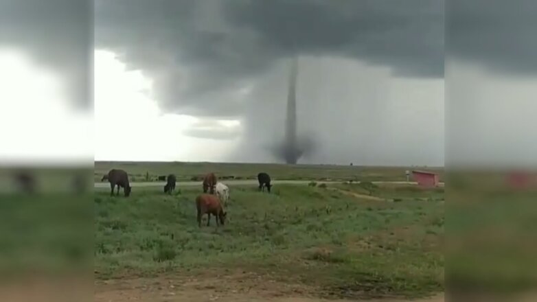 Мощный смерч в Крыму попал на видео