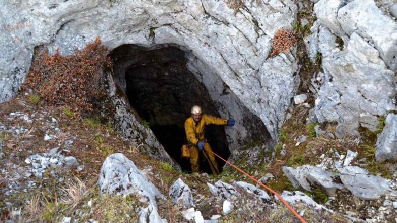 На Дальнем Востоке нашли останки древней гигантской белки