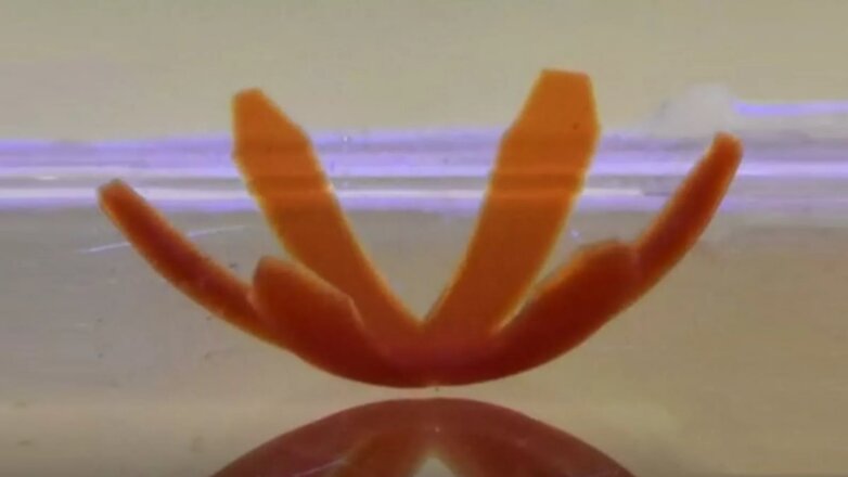 Ученые создали роботизированные материалы со свойствами живых существ