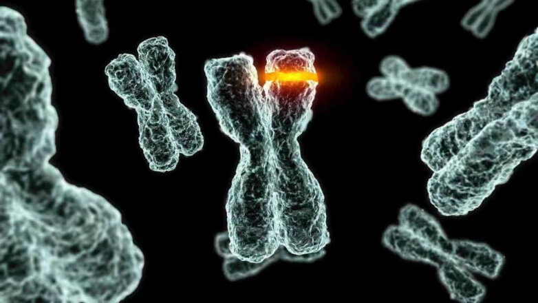 Ученые нашли способ «выключить» развитие рака