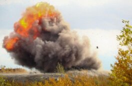 Боеприпасы начали взрываться на горящем складе под Рязанью