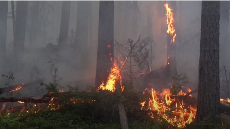 На Урале снова горит заповедник «Денежкин камень»