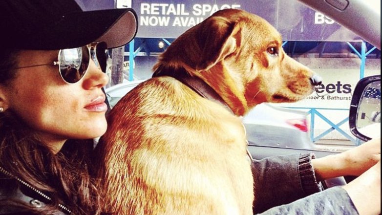 Принц Гарри стал причиной расставания Меган Маркл с лучшим другом