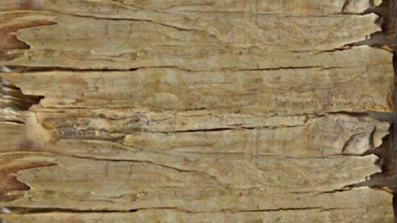 Найдены древнейшие в Азии изображения боевых верблюдов