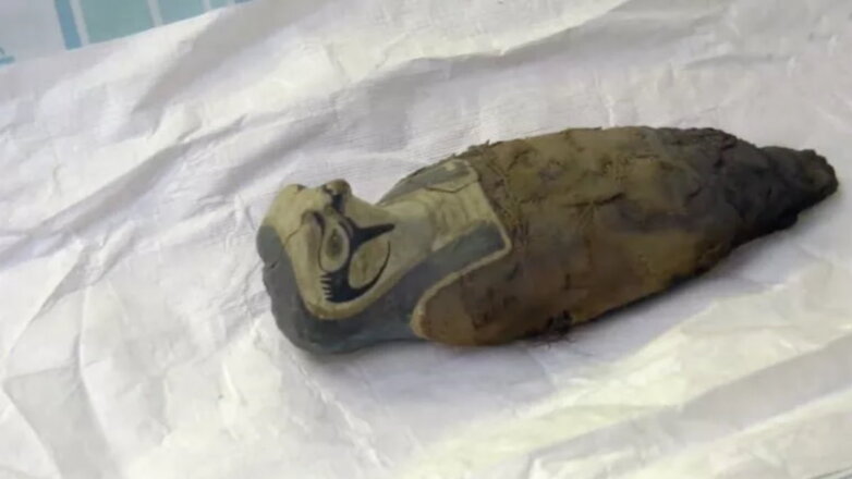 Ученые обнаружили в музее древнеегипетскую мумию из зерна и грязи