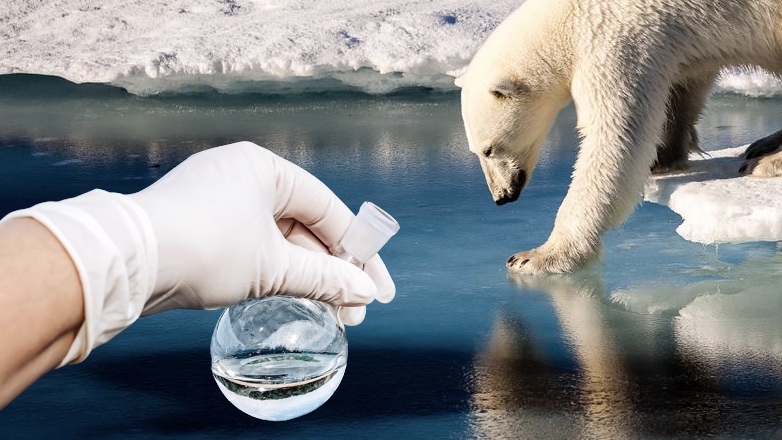 В морях Арктики ученые нашли «вечные» химикаты