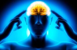 Стало известно, почему мозг «теряет» плохие воспоминания