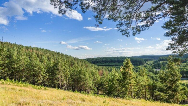 Ученые выяснили истинную причину катастрофической жары в Сибири