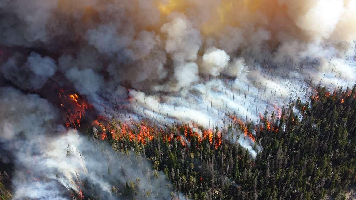 Калифорнию охватили сильные пожары