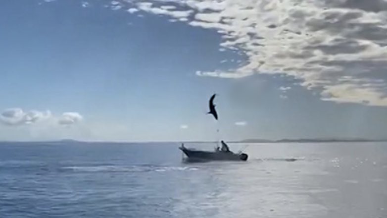 Прыгающая акула едва не приземлилась на лодку с людьми