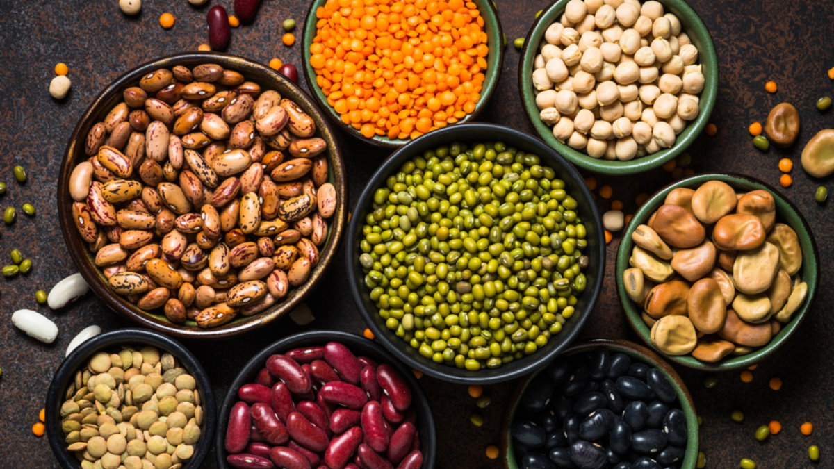 Бобы бобовые