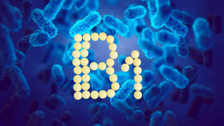 Ученые предложили новое оружие против супербактерий