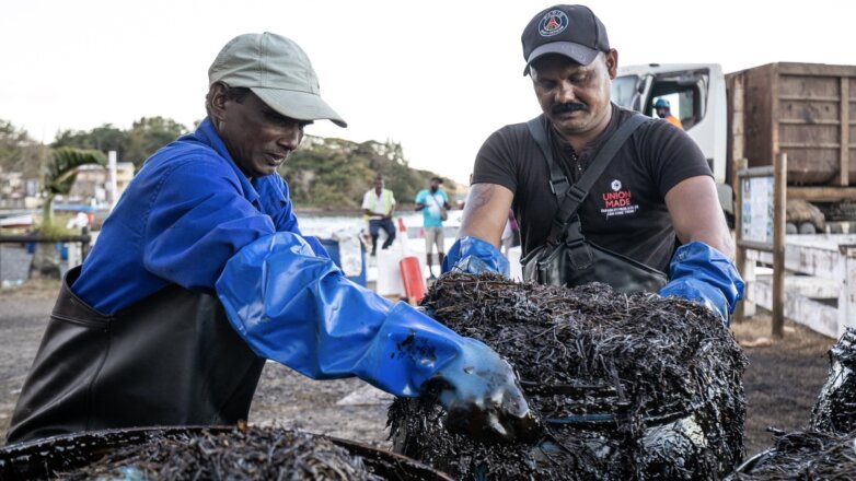 Жители Маврикия изобрели неожиданную «ловушку» для нефти