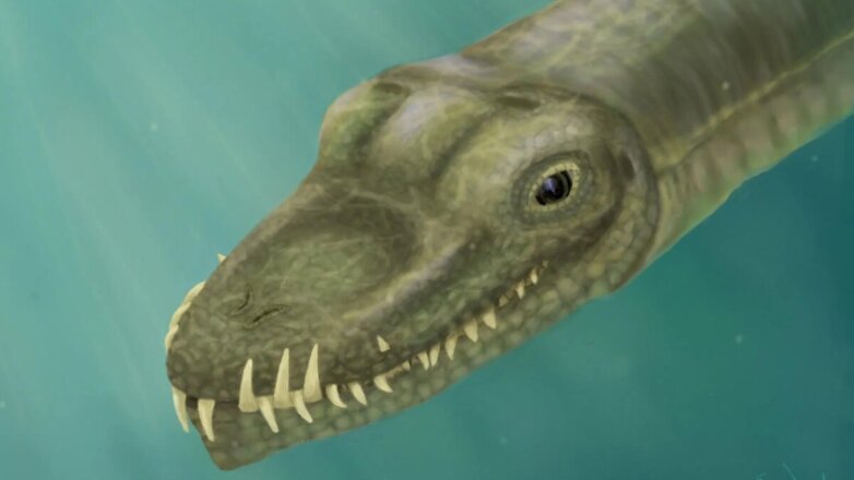 Ученые разгадали тайну рептилии с шеей в 3 раза длиннее туловища