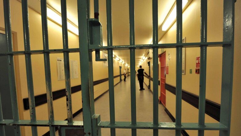 Труд осужденных в России разрешат использовать индивидуальным предпринимателям