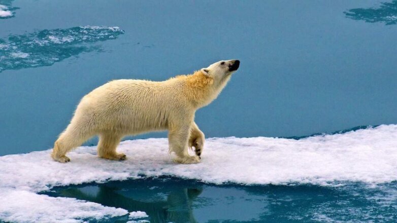 Названа растущая угроза со стороны арктических льдов