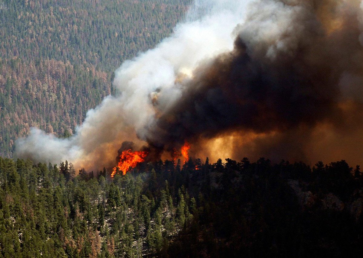 За сутки в России потушили более 5,5 тыс. га лесных пожаров