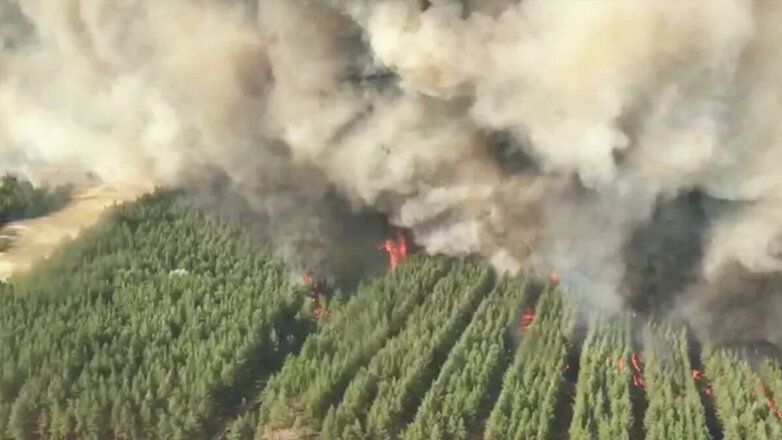 В Ростовской области из-за пожаров эвакуировали более 300 человек