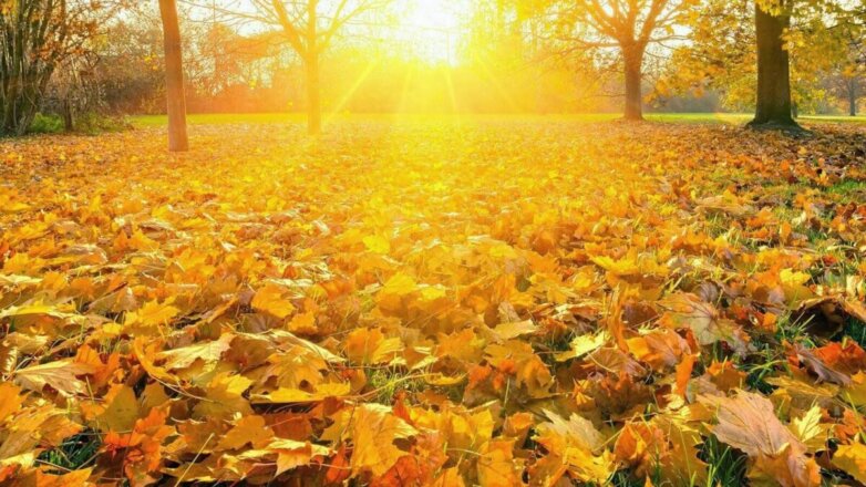 Врач предупредила об опасности любимой россиянами традиции