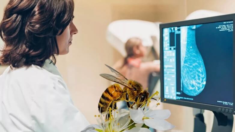Пчелиный яд справился с агрессивной и смертельной болезнью