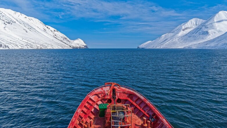На Камчатке примут меры по поддержке морских млекопетающих