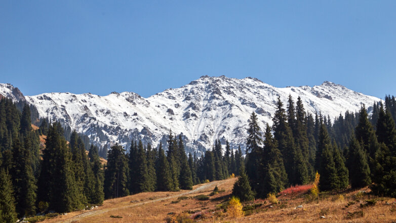 Истории из детства Нурсултана Назарбаева