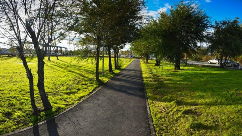 ЧЦЗ выиграл конкурс по благоустройству территории