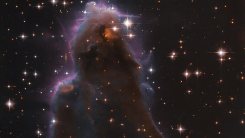 Звездные «ясли» удалось запечатлеть на фото