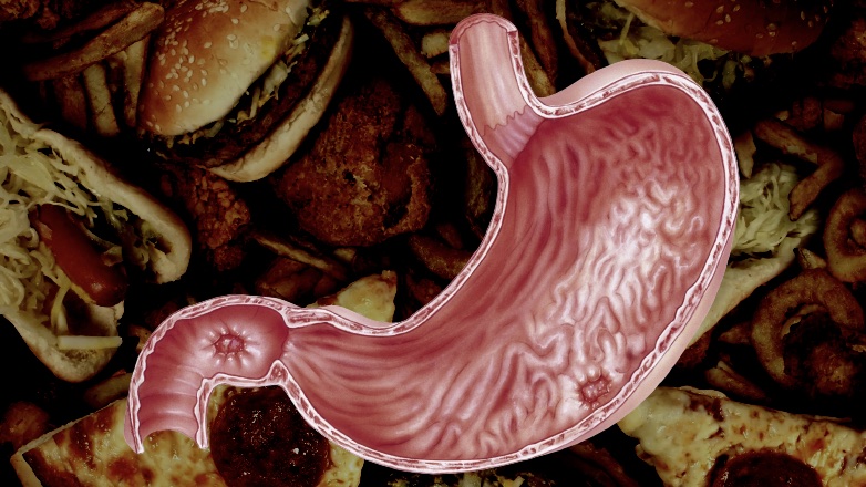 Диетологи перечислили самые вредные и полезные продукты для желудка