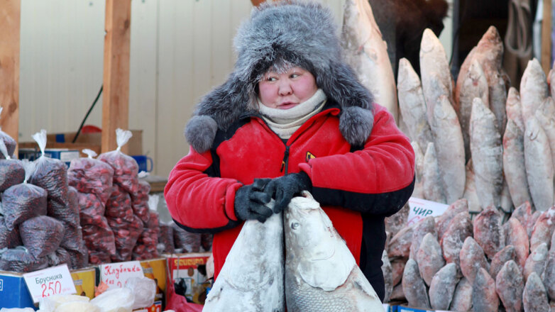 Точка замерзания: как выживает малый бизнес в русской Арктике