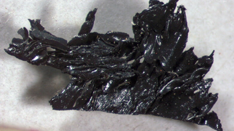 Подробности гибели полярника раскрыло загадочное пятно в его дневнике