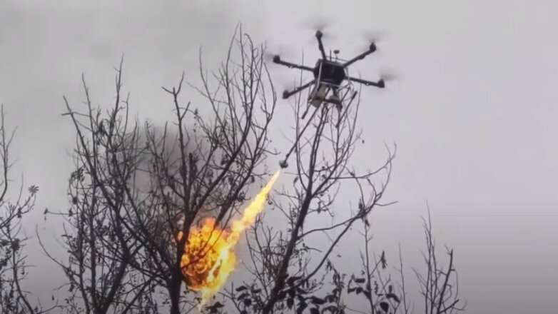 В Китае начали войну с осами с помощью огнеметного дрона: видео