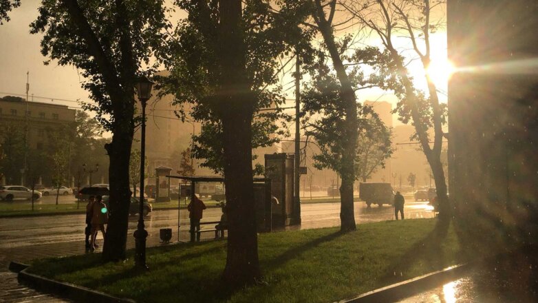 В Москве 2020 год оказался рекордным по теплу и количеству осадков