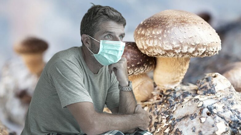 Назван "противоречивый" продукт, эффективный в борьбе с COVID-19