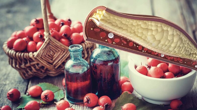 Простой ягодный экстракт оказался мощным средством от холестерина