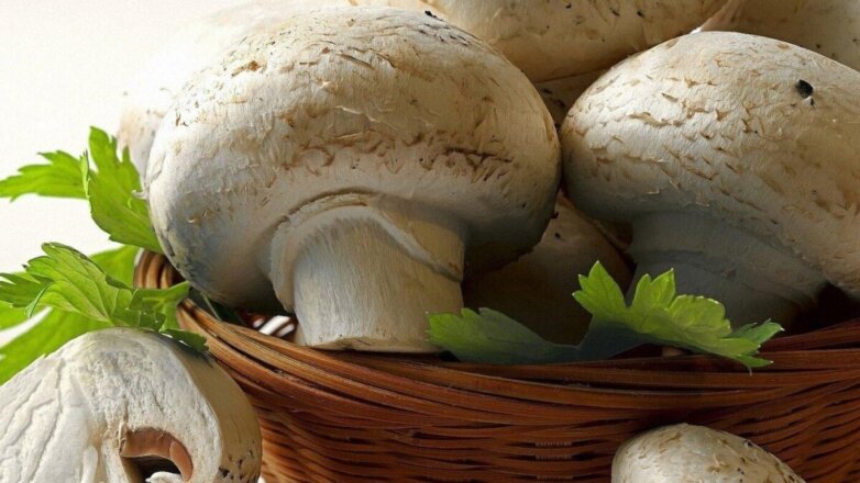Врачи рассказали, действительно ли шампиньоны вредны для печени