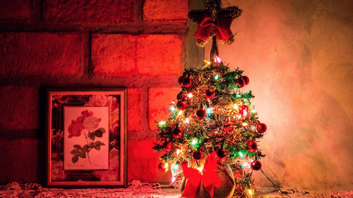 В России с 1 января изменятся правила по установке новогодней елки