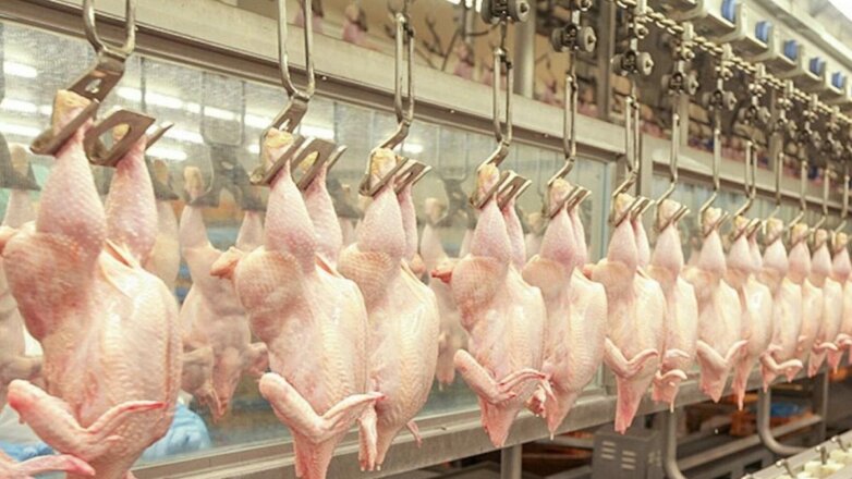 Cамую качественную курицу поможет выбрать простая хитрость