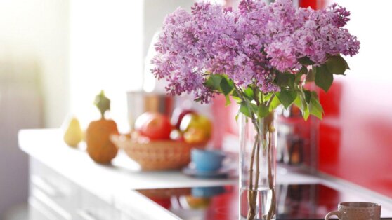 Избежать дорогого ремонта на кухне помогут простые хитрости