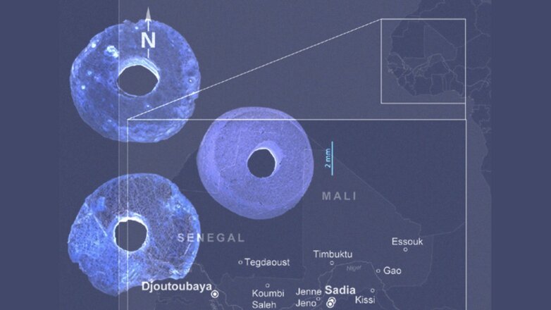 Находки в Африке указали на неожиданные связи между людьми Средневековья