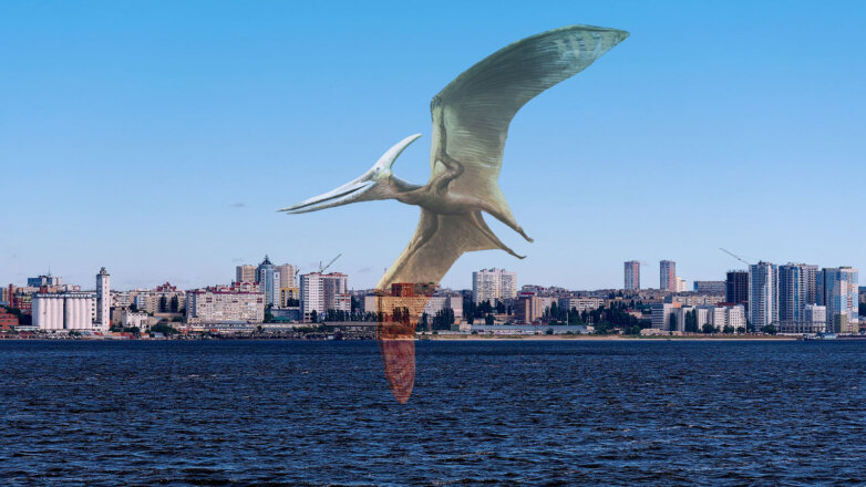 Ящеры летали над европейской частью России